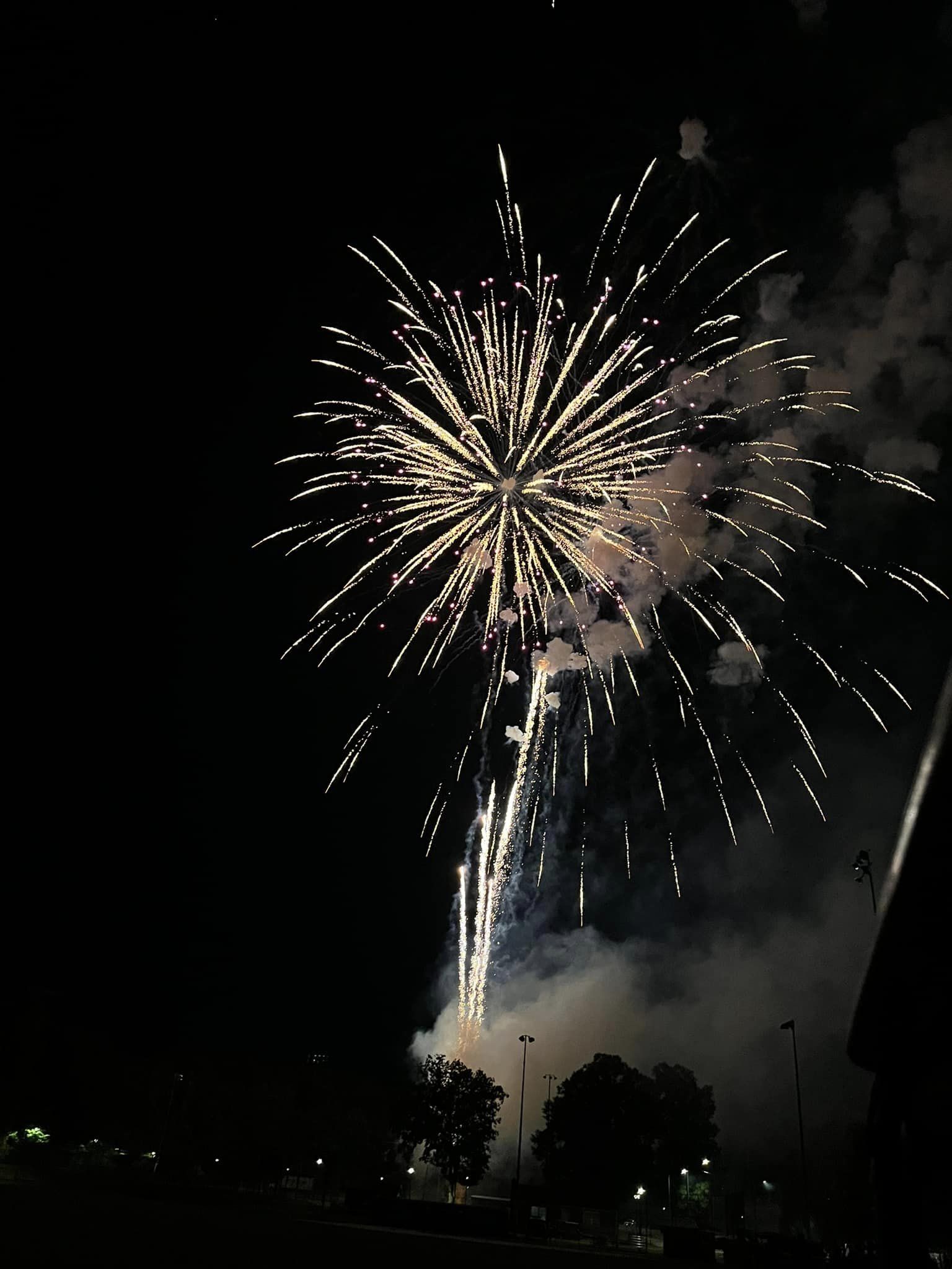 4th of July Festival